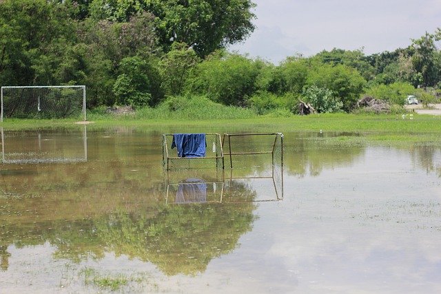 今年上海双雄争冠战启用外籍裁判，去年的主裁为傅明、李海新